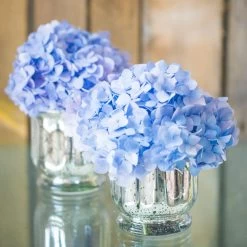 Richland Mercury Venus Jar Silver Set Of 12 -Unique Candle 12e789a0 afb2 4b30 bba3 e5d469b5f34c cae1f011 e242 4430 8d07 337aaf95aac2