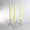 Richland Taper Candles 12" Ivory Set Of 50