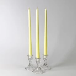 Richland Taper Candles 14" Ivory Set Of 50