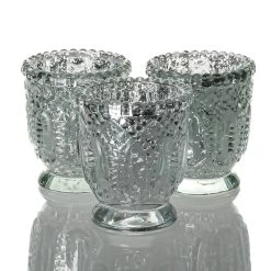 Richland Holder Royal Mercury Petite Silver Set Of 48