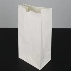 Eastland White Luminary Bags Only Set Of 100
