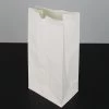 Eastland White Luminary Bags Only Set Of 500
