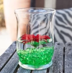 Eastland Adorn Hurricane Vase 6" Set Of 4 -Unique Candle 2701 7e2250fa 04de 4270 b48a 018644b9db2d