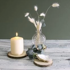 8 Basswood Branch Rounds 3.5in-5in Natural -Unique Candle 3921 7561 110c5d94 6089 4d2f 81c5 b3f2b2b0078d