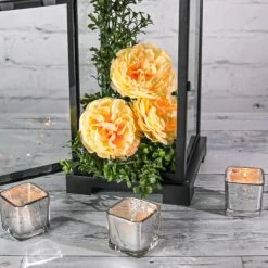 Richland Silver Mercury Square Votive Holder Set Of 72 -Unique Candle 7af0dbf5 771e 45d9 b24b 4d4116286ac0 1a298136 7d30 46de a11e a65eda1161eb