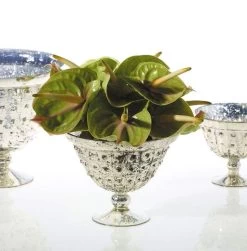 Baleri Glass Compote Bowl 8'' X 6'' -Unique Candle 84230605791c