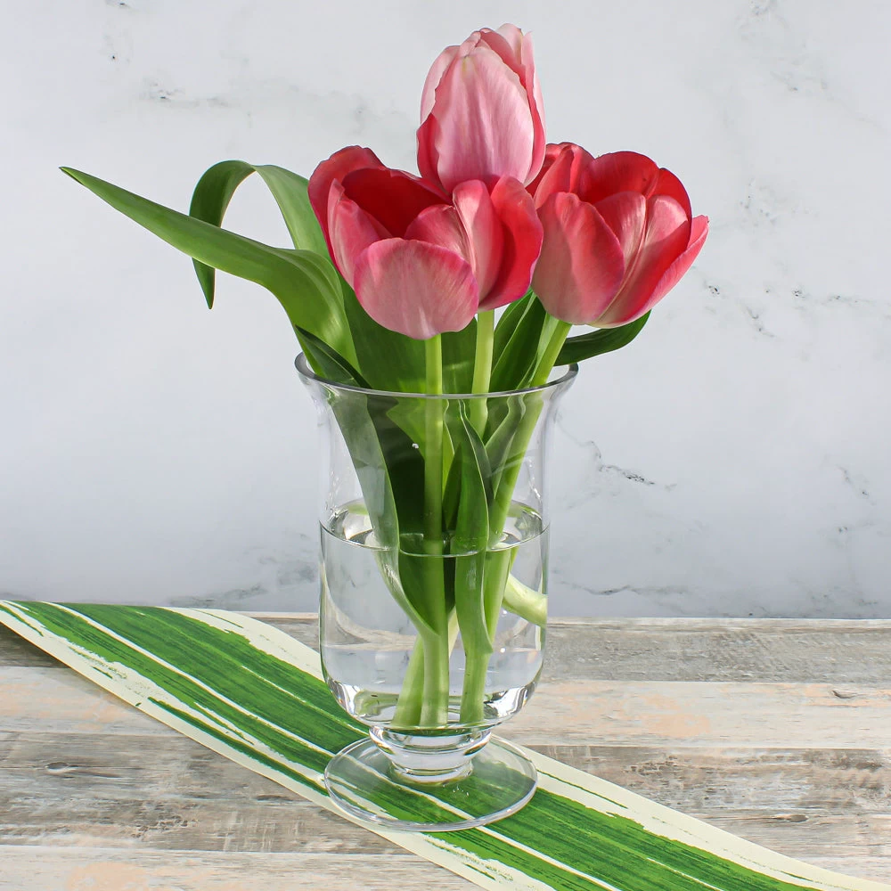 8in Hurricane Vase & Candle Holder 2 8in Hurricane Vase & Candle Holder - Image 2