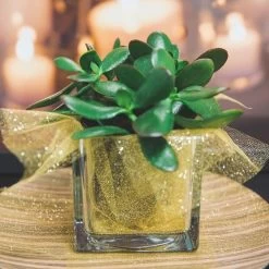 Richland Square Glass Cube Vase 4" Set Of 12 -Unique Candle 967a0138 2 2