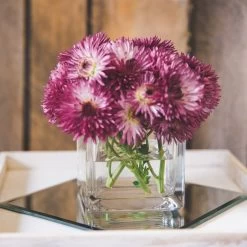 Richland Square Glass Cube Vase 5" Set Of 12 11 Richland Square Glass Cube Vase 5" Set Of 12 -Unique Candle 967a0145 1