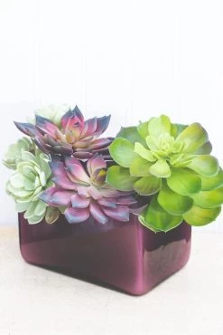 Richland Marlee Square Vase Mauve Set Of 6 5 Richland Marlee Square Vase Mauve Set Of 6 -Unique Candle 967a0930 1