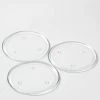 Richland Round Glass Pillar Plate 8" Set Of 8