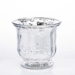 Richland Mercury Venus Jar Silver Set Of 12