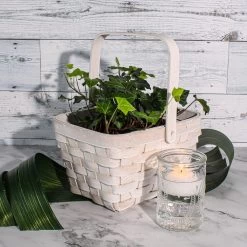 Richland Candle Holder Textured Glass Tall Set Of 12 -Unique Candle basket 463847f5 a124 499c b5a0 762b75771c86