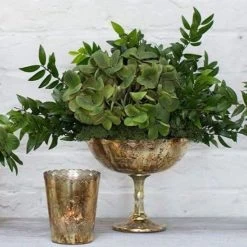 Desiray Glass Compote 7" X 8" Gold -Unique Candle ddb3f811 6740 4e6f 9e2d 138917595341