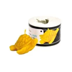 Sea Turtle Candle Mold