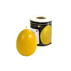 Small Smooth Egg Candle Mold