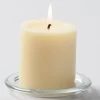 Richland Pillar Candles 3"x3" Ivory Set Of 48