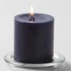 Richland Pillar Candles 3"x3" Navy Blue Set Of 48