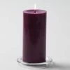 Richland Pillar Candles 3"x6" Purple Set Of 6