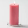 Richland Pillar Candles 3"x6" Pink Set Of 12