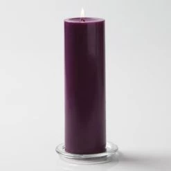 Richland Pillar Candles 3"x9" Purple Set Of 24
