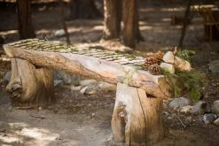 Natural Birch Rounds 3-5in (Set Of 8) -Unique Candle table 7 events okeefe photography 590x393 525015d3 ce19 4312 aa0b 87594996d86d